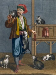 Cat Feeder, plate from 